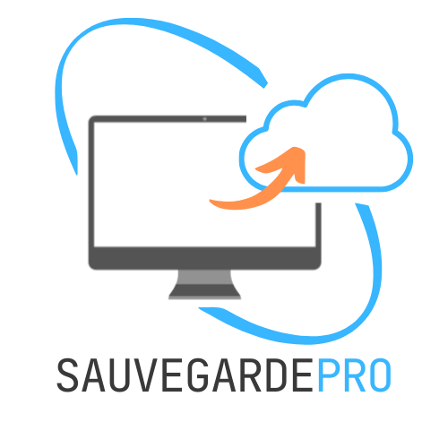 SauvegardePro